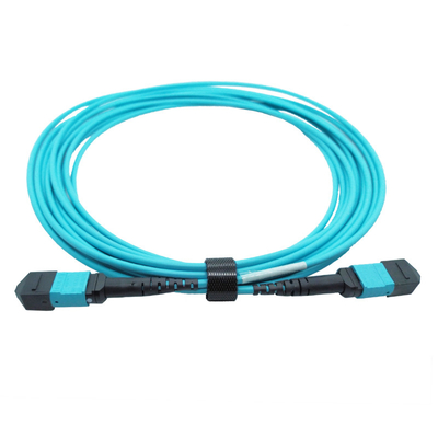 OM4 Multimode Type B Plenum MTP Trunk Cable 5M 12 Fibers MTP Female 12fmtpom4