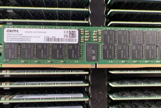 حافظه سرور CXMT CXMR4E464R8AS-CB1C 64 گیگابایتی DDR5 5600MT/s 2Rx4 ECC RDIMM